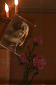 neilan's grandmother in 3D