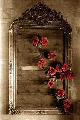 stolen roses against "dear daisy," wall